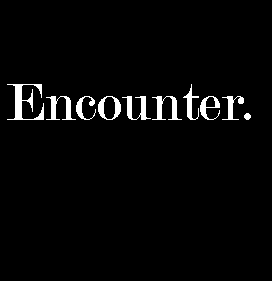 Encounter